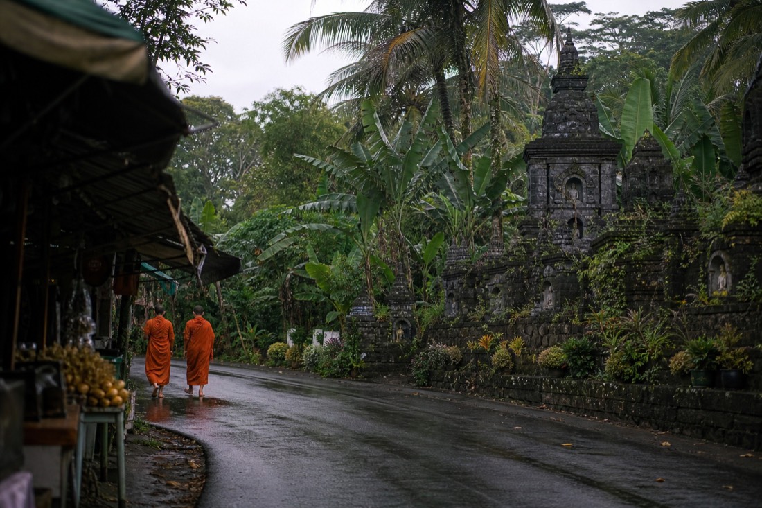 A village road on the way to Borobudur
