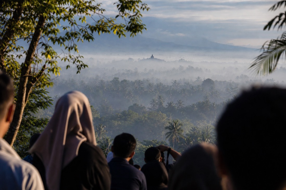 Fog over the palm canopy of the Kedu Plain with Borobudur emerging, from Punthuk Setumbu