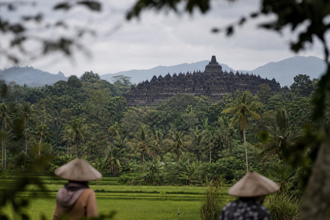 Borobudur temple rising over the Kedu Plain treeline
