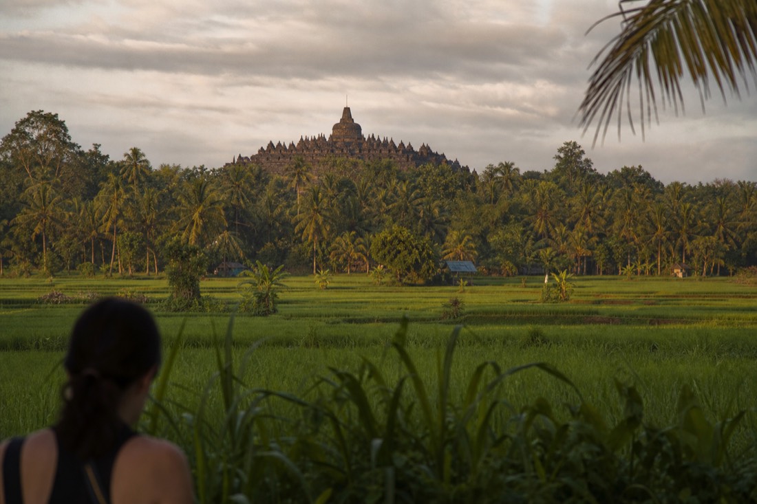 Borobudur temple rising over the Kedu Plain treeline