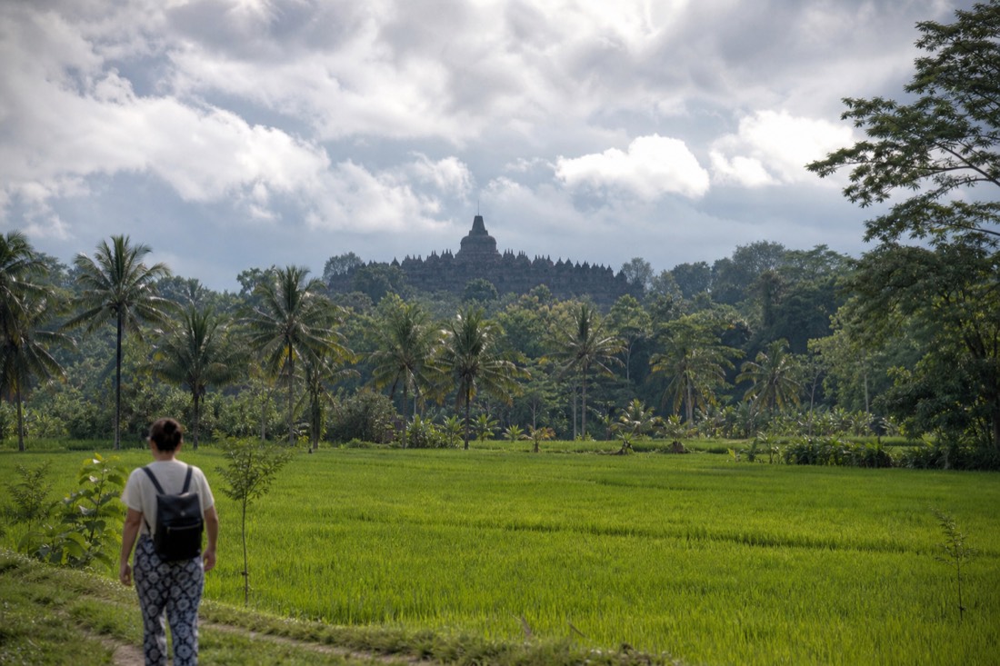 Borobudur temple rising over the Kedu Plain treeline