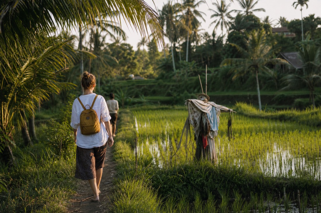 A path through the rice paddies near Ubud